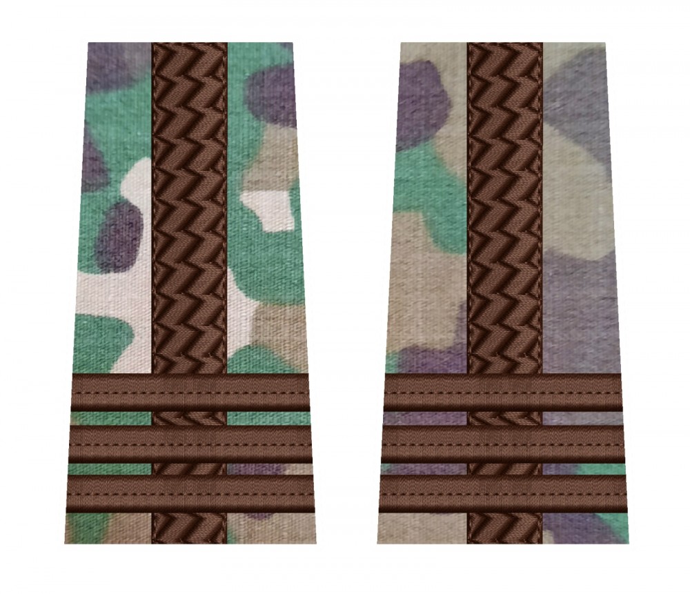 GRADE COMBAT COLONEL FORTE TERESTRE